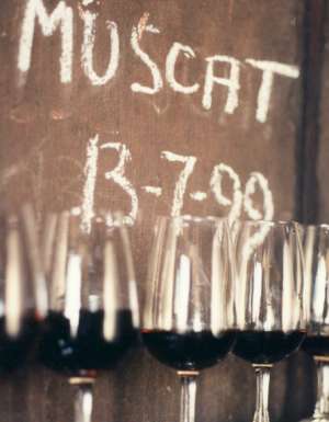 10 Incredible Things to Do in Rutherglen