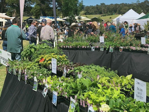 Yarra Valley Spring Plant Fair