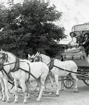 <p><i>Cobb &#038; Co</i>: the history of coach class</p>
