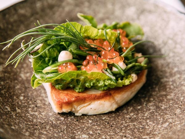 A meal plated at Cottage Point Inn