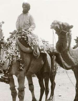 cameleers history australia outback
