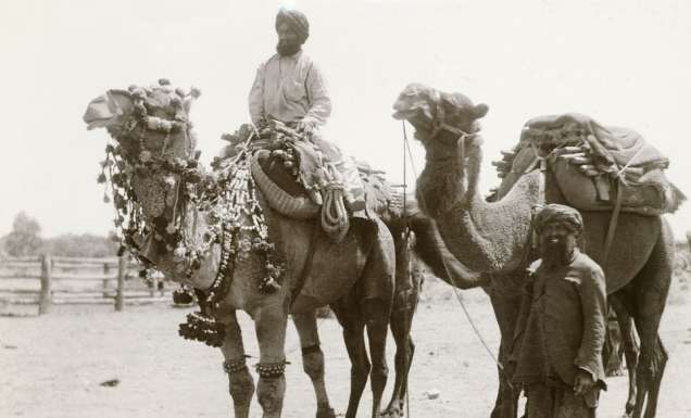 cameleers history australia outback