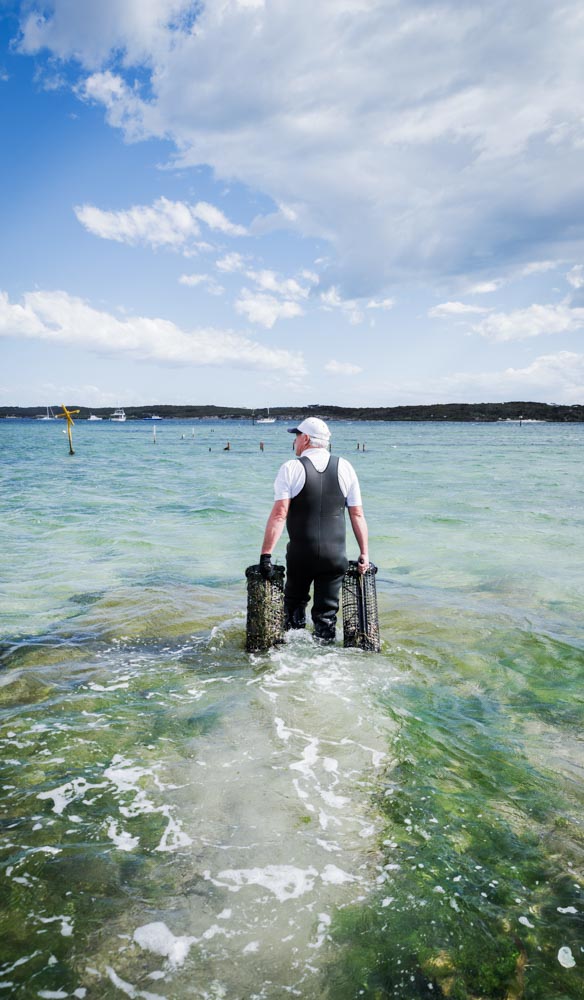 the seafood frontier south australian road trips
