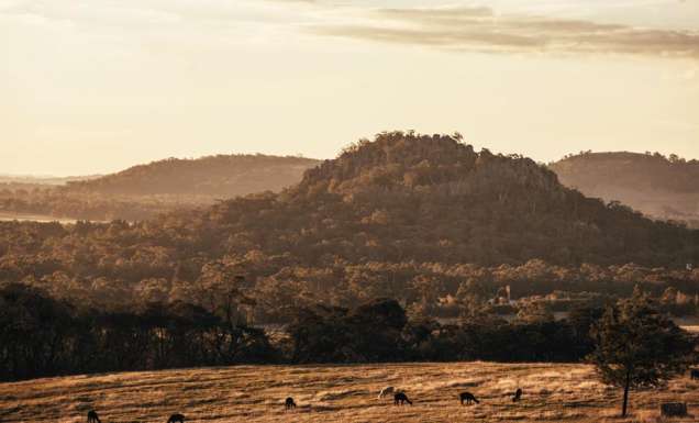 llama trek hanging rock