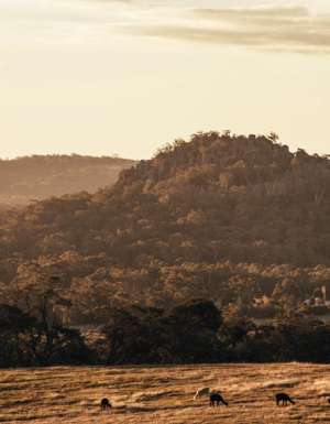 llama trek hanging rock