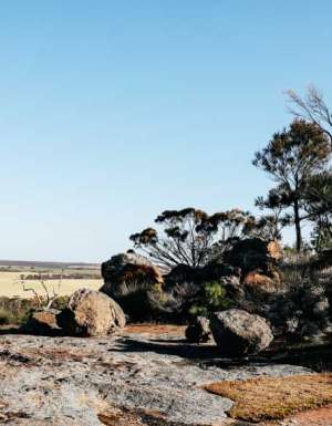 The golden outback western australia outback road trips