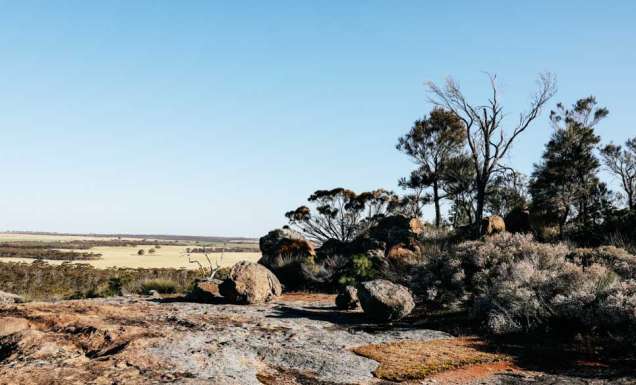 The golden outback western australia outback road trips