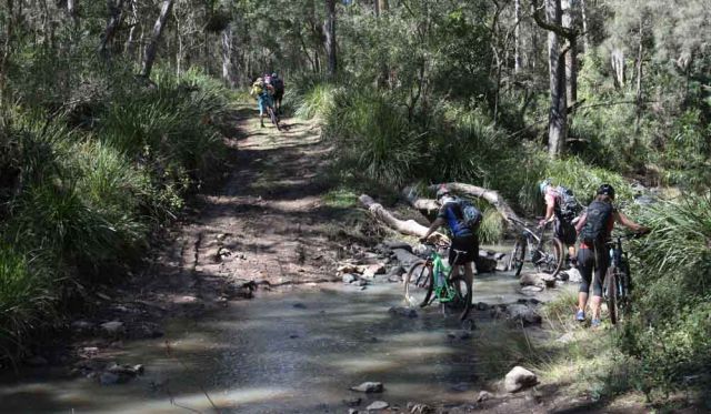 mountain biking Queensland adventure