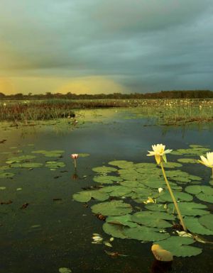 landscape kakadu nothern territory holdays attractions culture outback