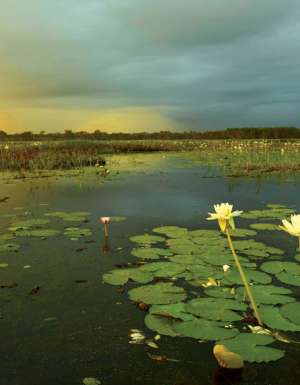 landscape kakadu nothern territory holdays attractions culture outback