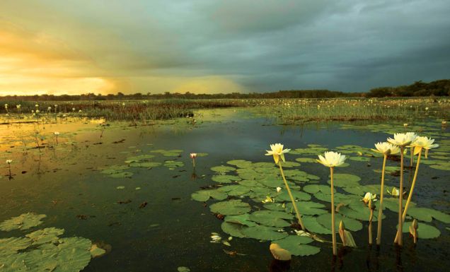 landscape kakadu nothern territory holdays attractions culture outback