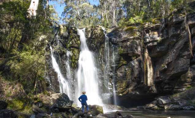 Lorne Walks Phantom Falls Victoria