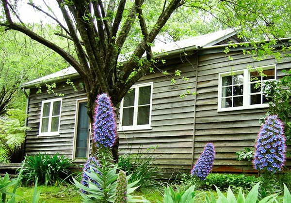 Allenvale Cottage Lorne, VIC