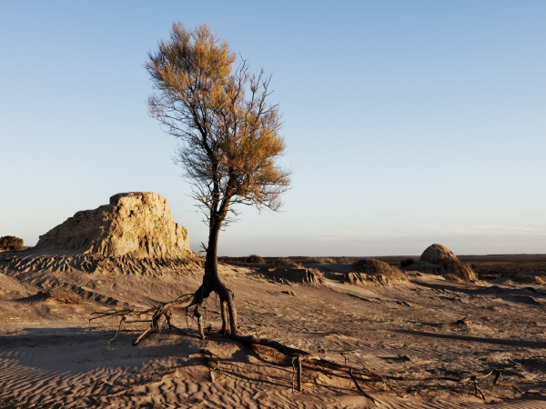 The lunettes shapeshift