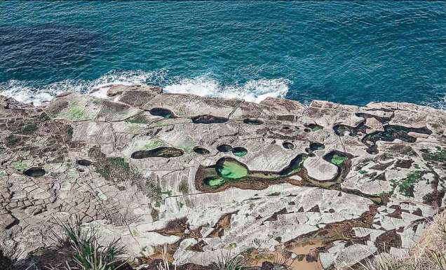 Royal National Park Sydney