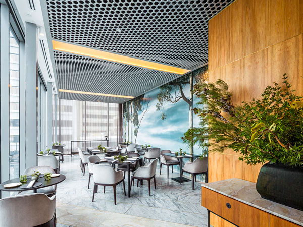 the contemporary interior of Wildflower Restaurant