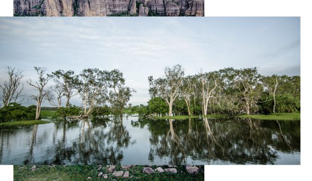 Kakadu wet season national park northern territory