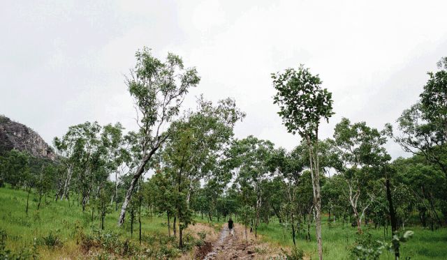 Kakadu wet season national park northern territory