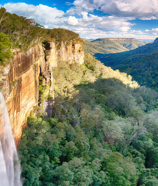 <p><strong>Sydney</strong> to <strong>Canberra</strong>: <i>the ultimate road trip guide</i></p>
