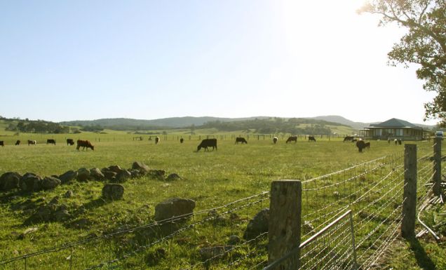 Milton NSW