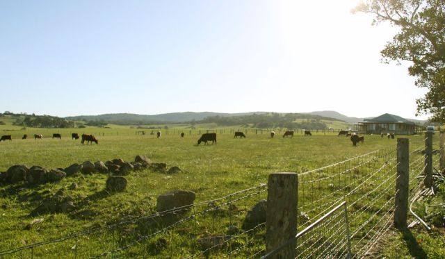 Milton Mollymook Country town Australia