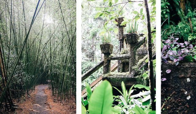 tropical destination castle jose margarita queensland