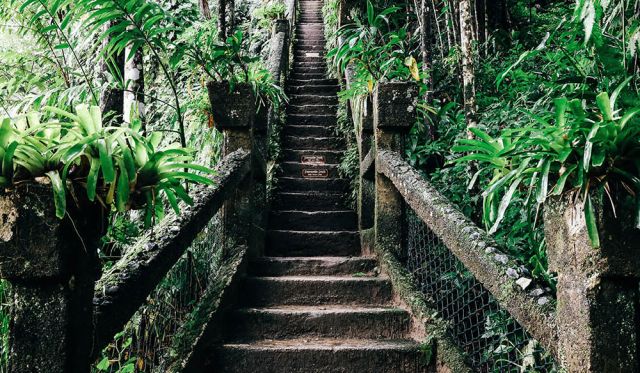 tropical destination castle jose margarita queensland