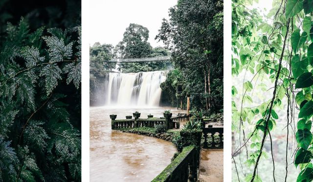 tropical destination castle jose margarita queensland, Paronella Park