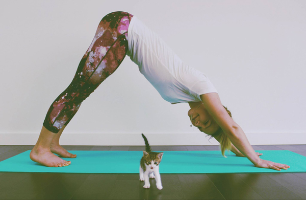 Cats on Mats pop-up event at Sydney Cat Cafe.