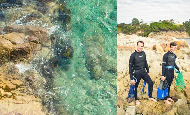 swimming snorkeling coast NSW far south coast