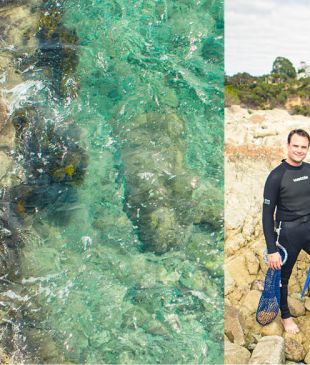 <p><i>From ocean to plate</i>: catch and cook on the <strong>South Coast</strong></p>
