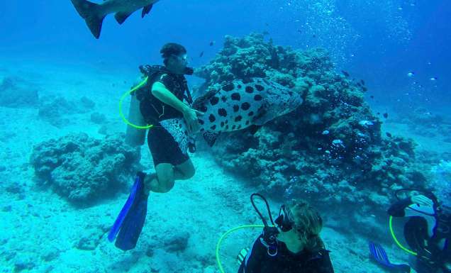 Scuba dive on Lizard Island