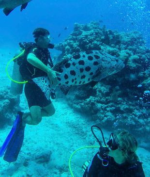 <p><i>5 of the best Scuba Diving experiences</i> in <strong>Australia</strong></p>
