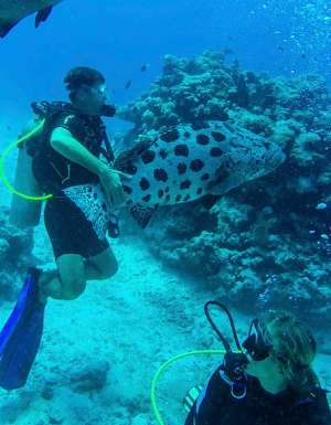 Scuba dive on Lizard Island