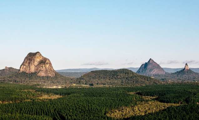 Forested Glass house Mountains Sunshine Coast