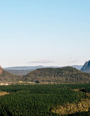 Forested Glass house Mountains Sunshine Coast