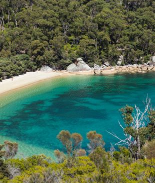 <p><i>10 most memorable things to do</i> at <strong>Wilsons Promontory</strong></p>
