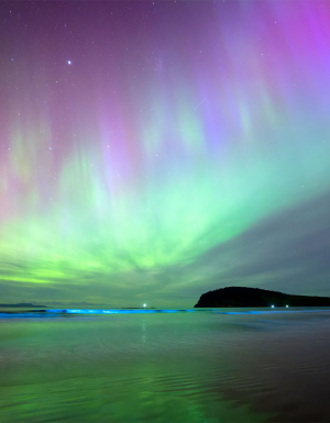 Aurora Australis and bioluminescence, Goats Bluff