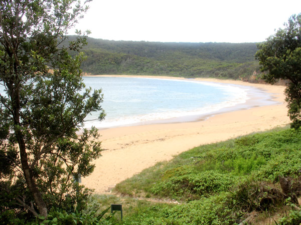 a scenic view of Maitland Bay, NSW