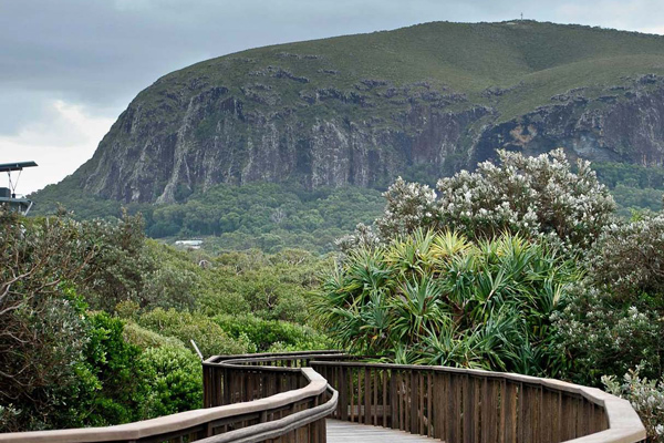 Mount Coolum Sunshine Coast QLD
