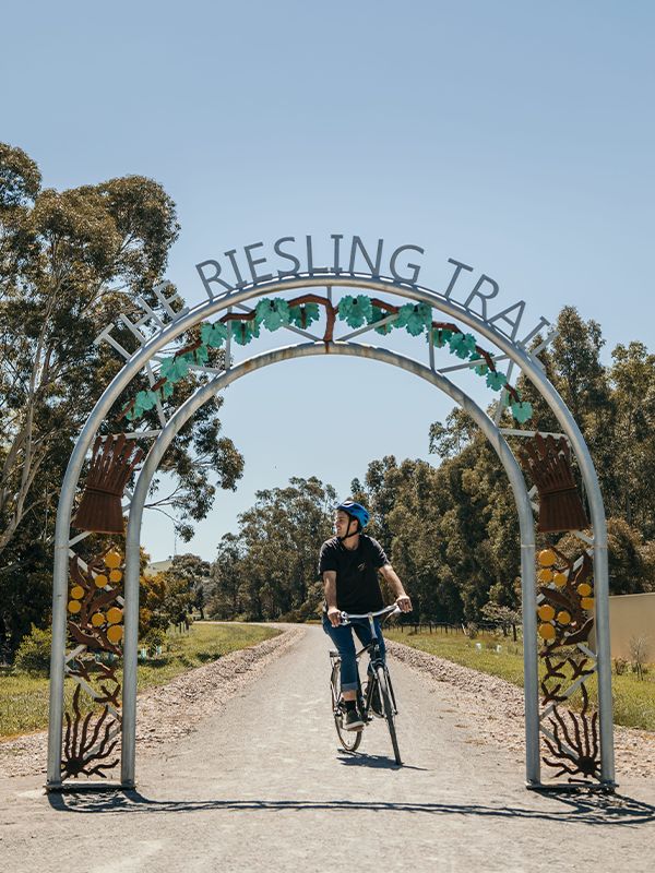 The Riesling Trail in the Clare Valley