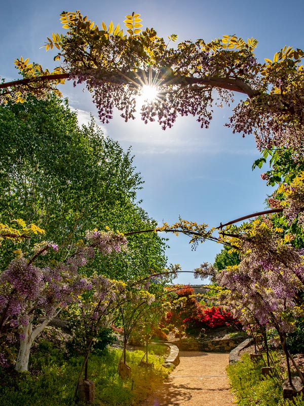 the entrance decorated with flowers at Mayfield Garden, Oberon