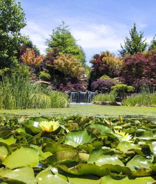 <p><i>Here’s why you need to visit</i> the picture-perfect Mayfield Garden</p>
