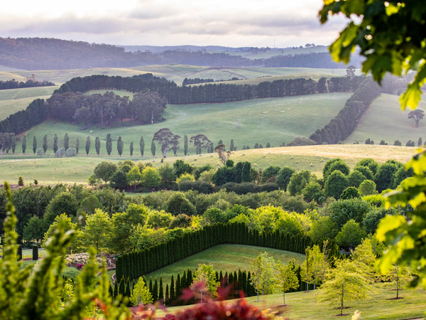 sculptured and manicured lawns in Mayfield Garden