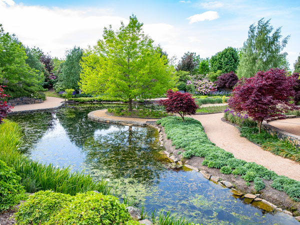 the lush garden setting in Mayfield, Oberon