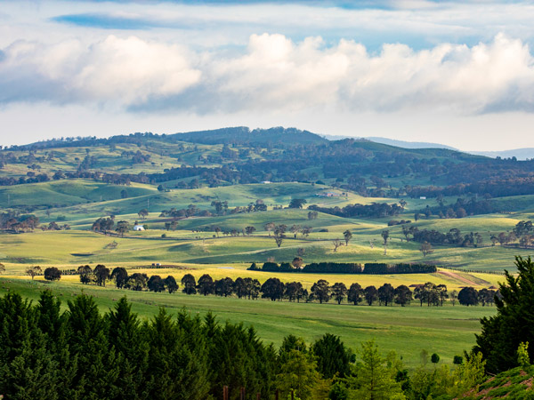 scenic views across Mayfield Garden, Oberon
