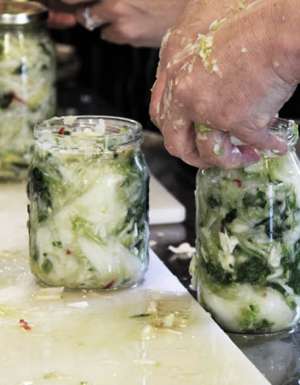 food eat design foodie workshop class Fermentation fermenting