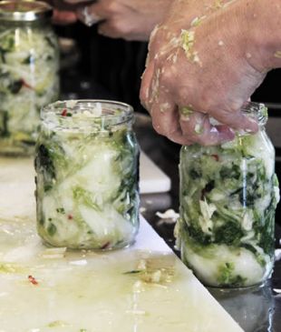 <p><i>The best fermentation foodie workshops</i> across the <strong>country</strong></p>
