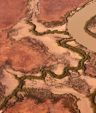 <p><strong>Groote Eylandt</strong>: <i>the island where they keep crocs as pets</i></p>

