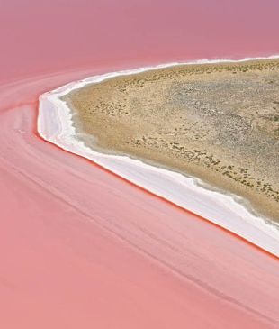 <p><i>Everything you need to know</i> about <strong>South Australia’s</strong> bright pink lakes</p>
